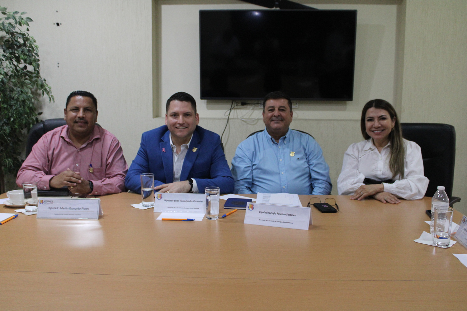 Comisiones de Ecología y Medio Ambiente y asuntos educativos.